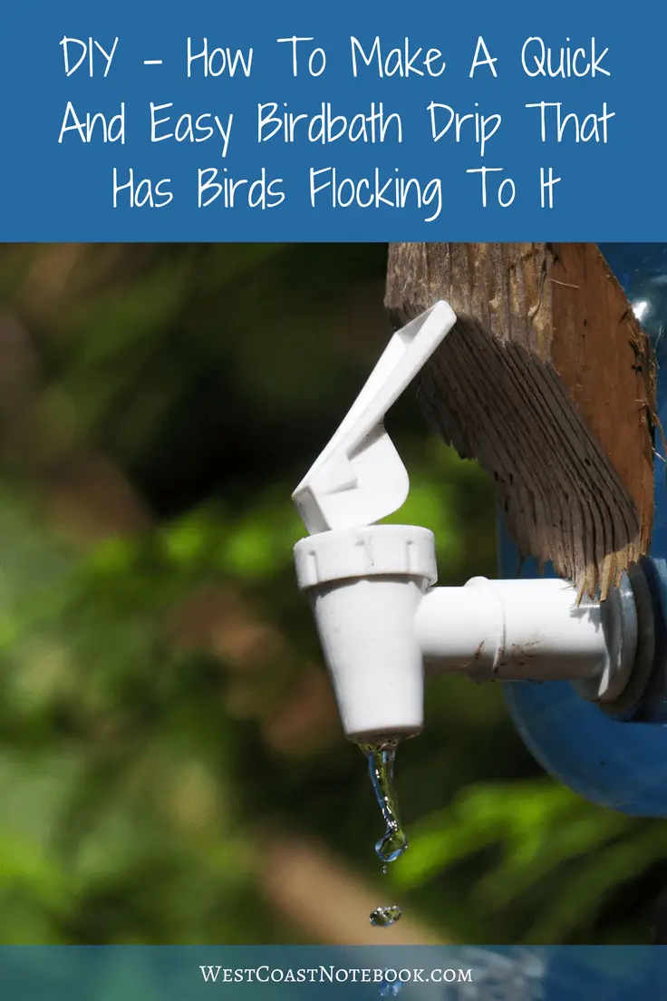 DIY - How To Make A Quick And Easy Birdbath Drip That Has Birds Flocking To It
