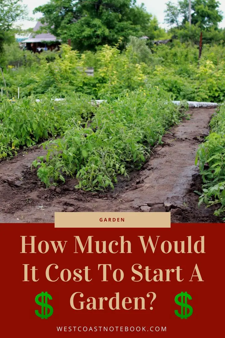 How Much Would It Cost To Start A Garden