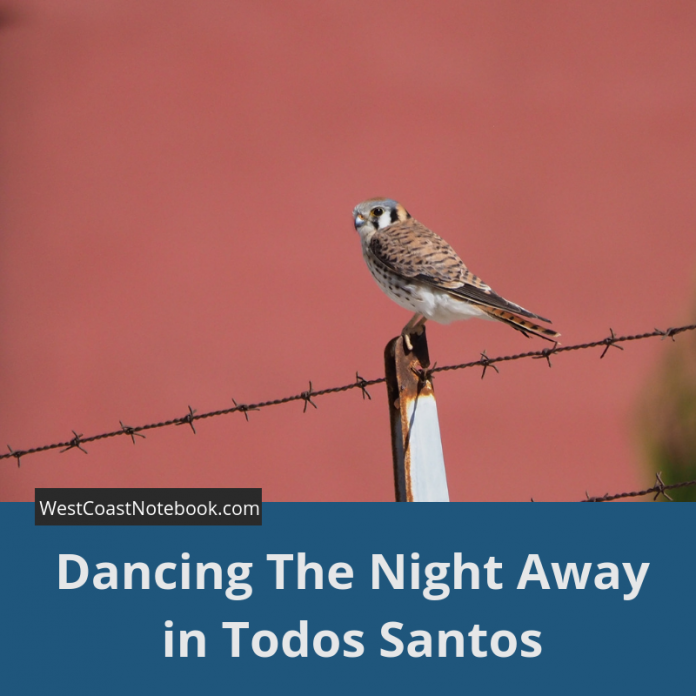 Dancing The Night Away in Todos Santos