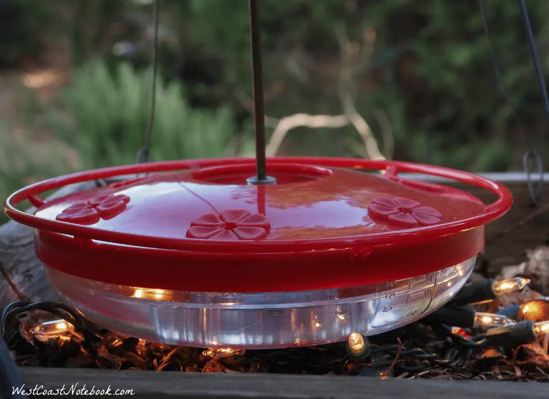 Hummingbird feeder set up so it won't freeze