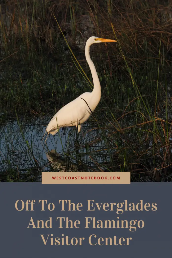 Off To The Everglades And The Flamingo Visitor Center