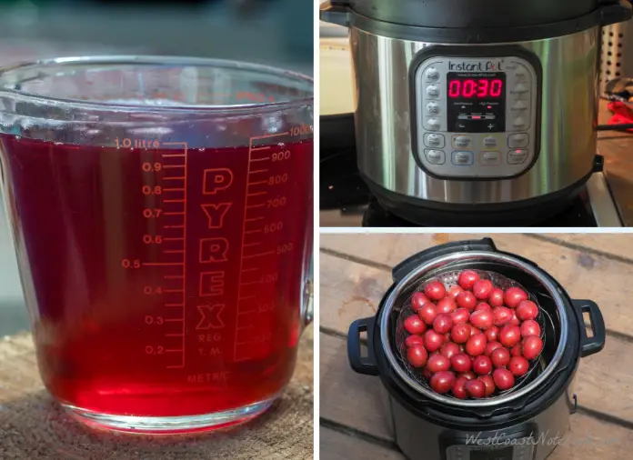 Instant Pot As A Steam Juicer